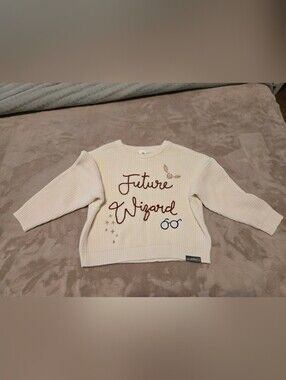 Toddler Harry Potter 'Future Wizard' Knit Sweater - Size 3T